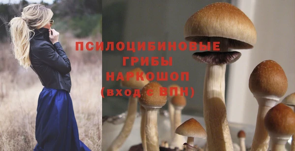 мяу мяу кристалл Арсеньев