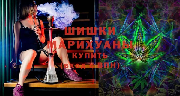 прущие грибы Аркадак