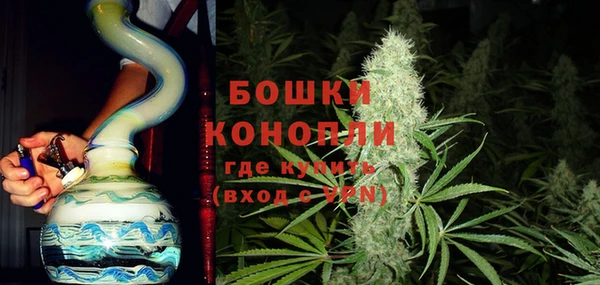 прущие грибы Аркадак
