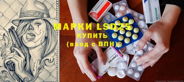 прущие грибы Аркадак