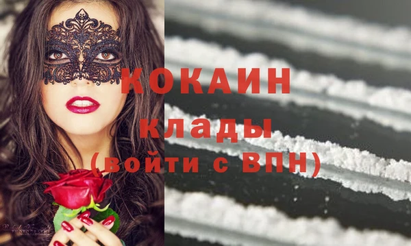 прущие грибы Аркадак