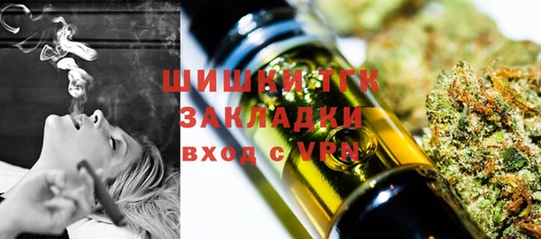 прущие грибы Аркадак