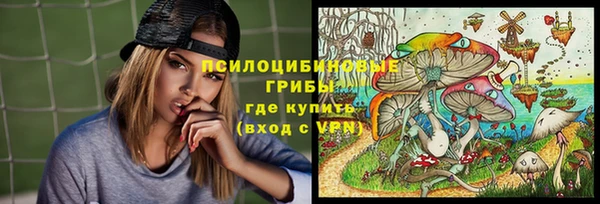 твердый Армянск