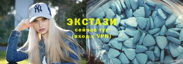 прущие грибы Аркадак