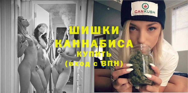 прущие грибы Аркадак