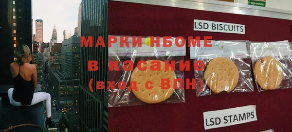 прущие грибы Аркадак